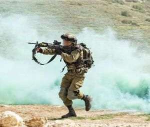 O cămilă folosită de trupele ruse, capturată de soldaţii din Kiev